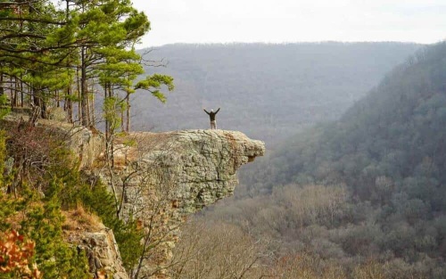 Whitaker Point