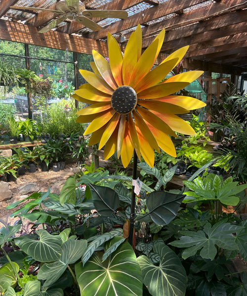 plants in store with sunflower windmill.